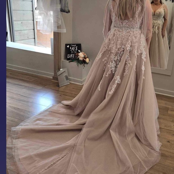 Allure 1153L in mocha/champagne/ivory/nude. Size 18 no alterations. - Picture 8 of 9